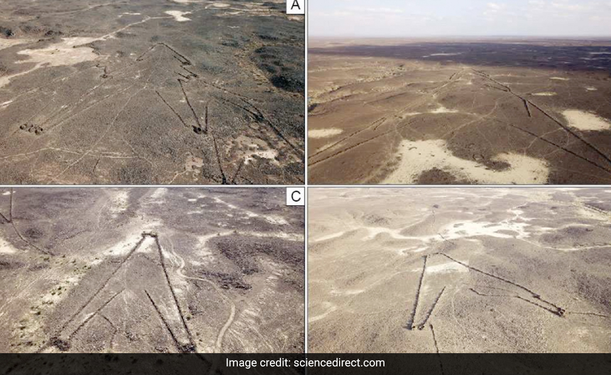 These Mysterious Stone Engravings May Be World's Oldest Megastructure 'Blueprints'