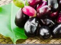 Eating Too Much Jamun? Stop Now! 5 Side Effects You Should Be Aware Of
