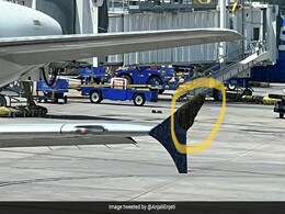 Flight Delayed In US As Swarm Of Bees Latches Onto Plane's Wing Flight Delayed In US As Swarm Of Bees Latches Onto Plane's Wing