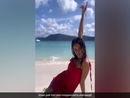 Shehnaaz Gill Is Living Her Best Life In Phuket. See New Post Shehnaaz Gill Is Living Her Best Life In Phuket. See New Post