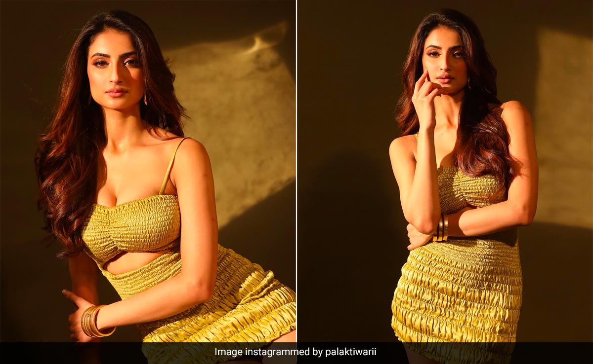 We May Just Have A Tad Bit Of A Citrus Crush On Palak Tiwari's Cutout Yellow Dress