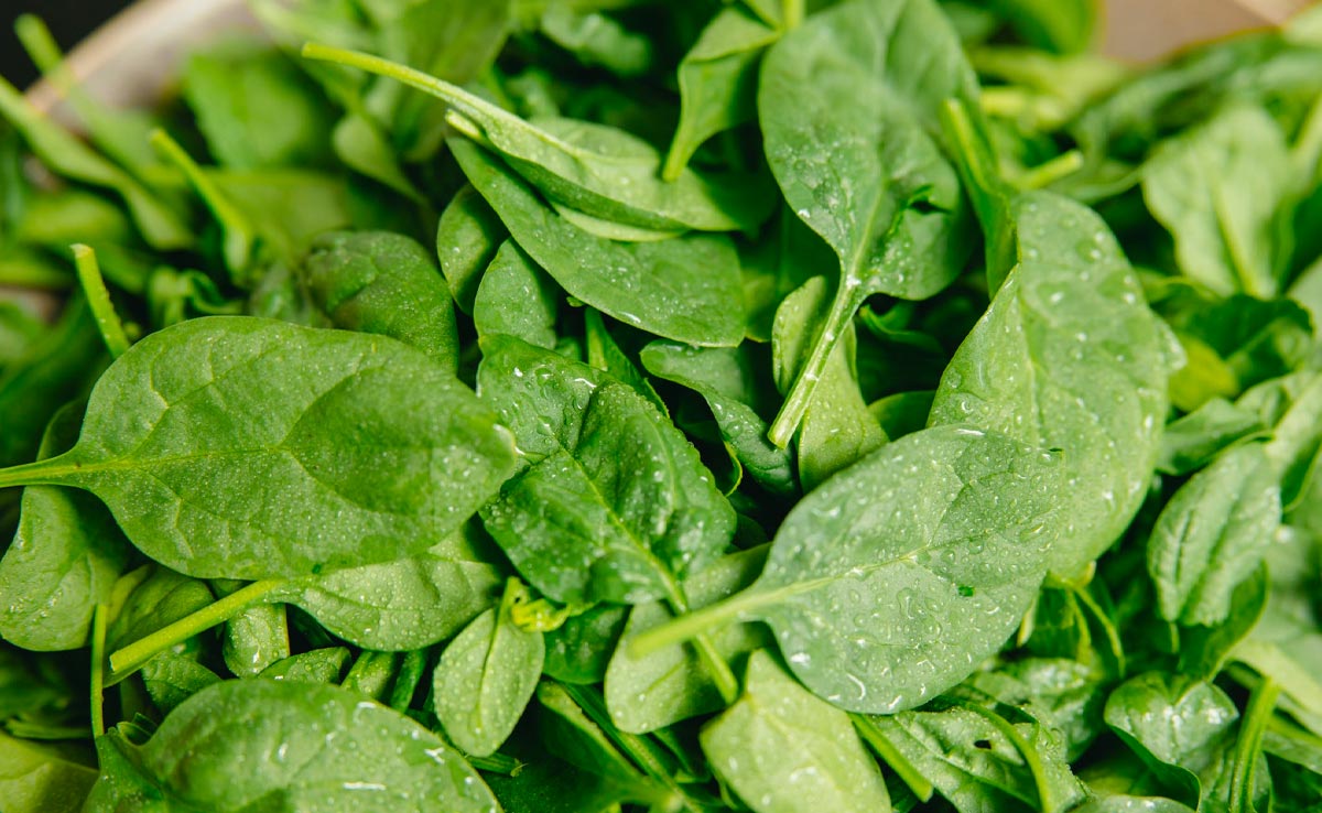 How To Store Fresh Spinach (Palak) For Extended Freshness