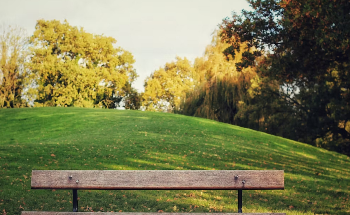 Delhi To Soon Get 250 Parks Where Men Won't Be Allowed Entry