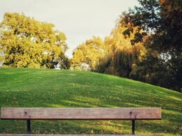 शादी नहीं हो पाई तो चचरे भाई-बहन ने की आत्महत्या, दिल्ली के डियर पार्क में पेड़ से लटके मिले दोनों के शव शादी नहीं हो पाई तो चचरे भाई-बहन ने की आत्महत्या, दिल्ली के डियर पार्क में पेड़ से लटके मिले दोनों के शव