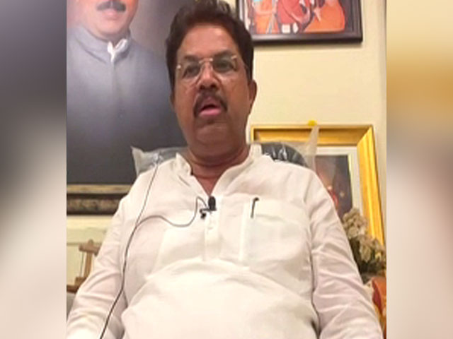 "PM, Amit Shah Campaigns Helped A Lot": Karnataka BJP Leader