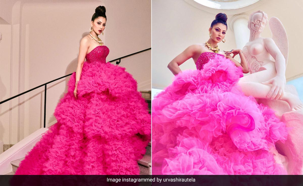 Cannes 2023: Flamingo Pink Gowns Continue To Make Their Way To The Red Carpet With Urvashi Rautela's Gown