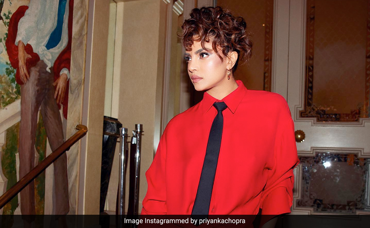 Priyanka Chopra On Acting In A Film She Hated: "My Lines Made No Sense"