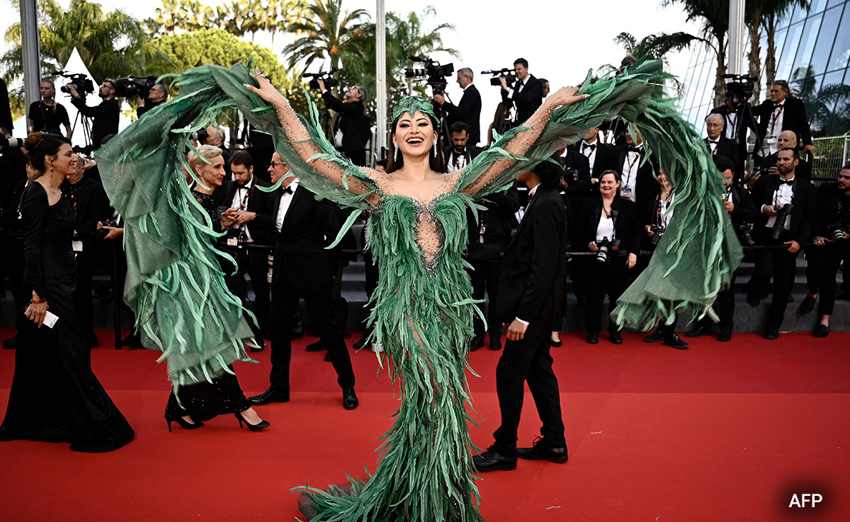 Cannes 2023: One Word For Urvashi Rautela's Feathered Look - Why?