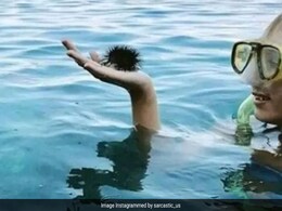 पहली नज़र में आपको इस तस्वीर में कितने लोग नज़र आए? 5 सेकंड में दिया सही जवाब तो कहलाएंगे इंटेलिजेंट पहली नज़र में आपको इस तस्वीर में कितने लोग नज़र आए? 5 सेकंड में दिया सही जवाब तो कहलाएंगे इंटेलिजेंट