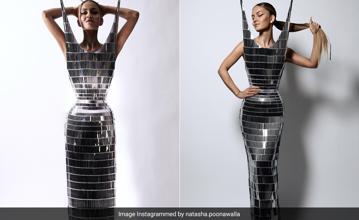 Natasha Poonawalla's Schiaparelli Dress With Pointed Ends Is An Ode To Karl's Cat Choupette