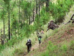Top 7 Forest Treks In India To Add To Your Nature Adventure Bucket List Top 7 Forest Treks In India To Add To Your Nature Adventure Bucket List
