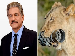 आनंद महिंद्रा ने शेयर की जबड़े में कैमरा दबाए शेरनी की तस्वीर, कहा- फोटो के लिए कैप्शन बताएं, मुंबई पुलिस ने दिया ये जवाब आनंद महिंद्रा ने शेयर की जबड़े में कैमरा दबाए शेरनी की तस्वीर, कहा- फोटो के लिए कैप्शन बताएं, मुंबई पुलिस ने दिया ये जवाब