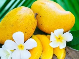 Langra, Totapuri, Dasheri - Strange Names Of Mango Varieties And Stories Behind Them Langra, Totapuri, Dasheri - Strange Names Of Mango Varieties And Stories Behind Them