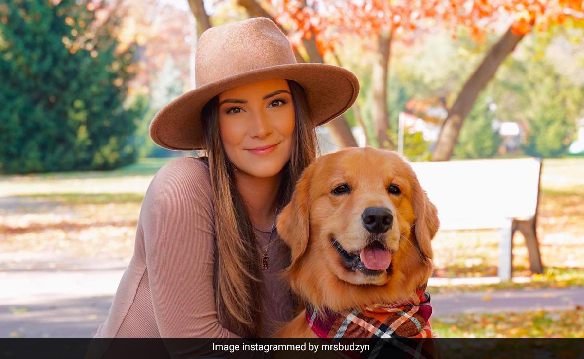 Golden Retriever, An Instagram Star, Earns Rs 8 Crore A Year