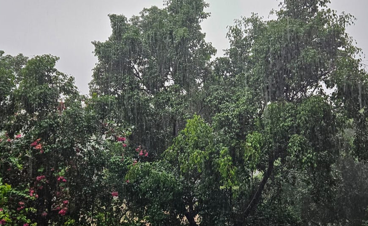 Rain Pounds Delhi Amid 4-Day Warning By Weather Office