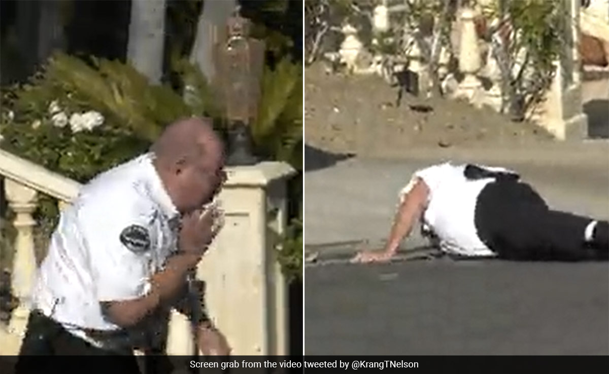 Watch: US Cop Falls After Being Stung By Hundreds Of Bees, Eye Socket Fractured