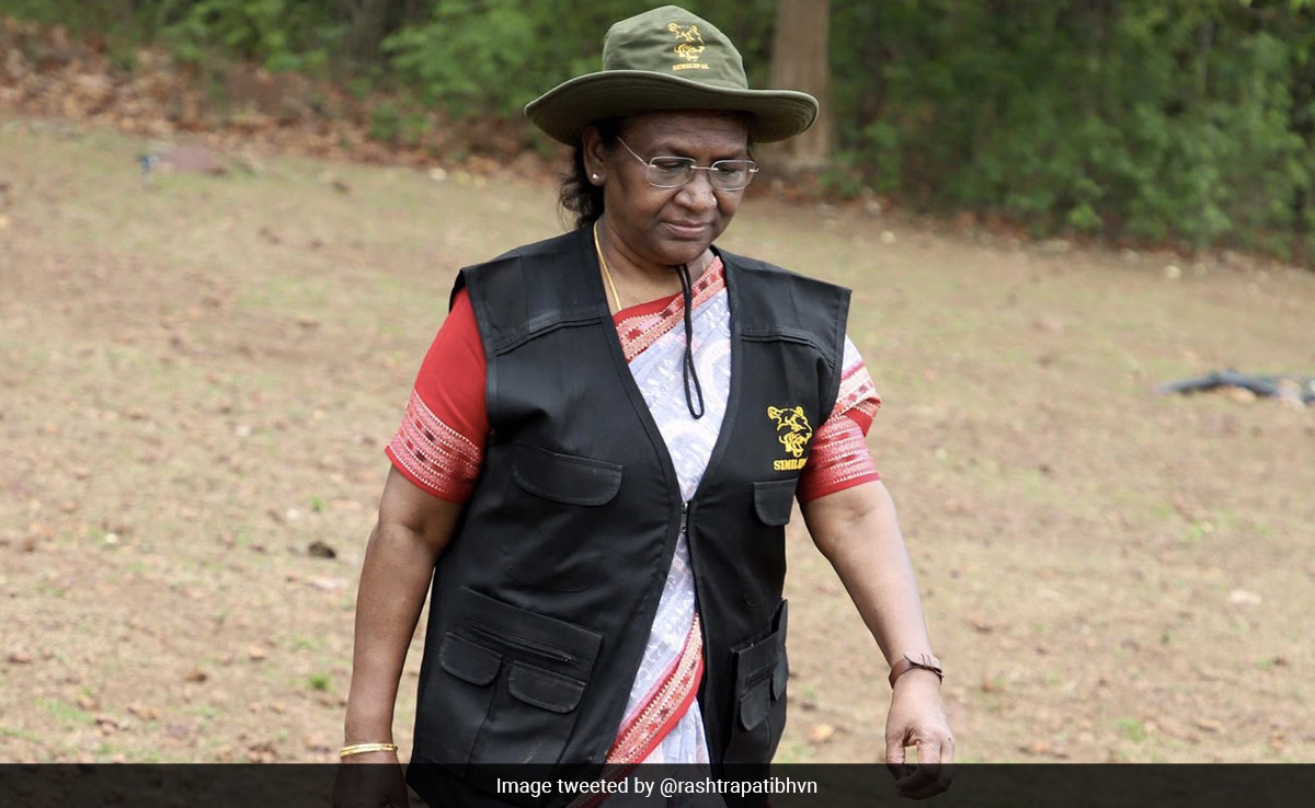 President Droupadi Murmu Visits Similipal Tiger Reserve In Odisha