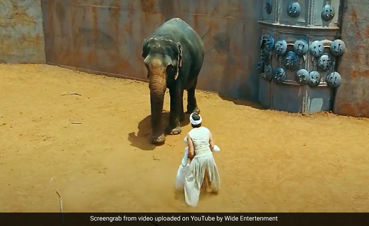 एक दो नहीं सौ 100 हथिनियों ने दिया था इस फिल्म के लिए ऑडिशन, खुले मैदान में डायरेक्टर ने पूछा था ये सवाल