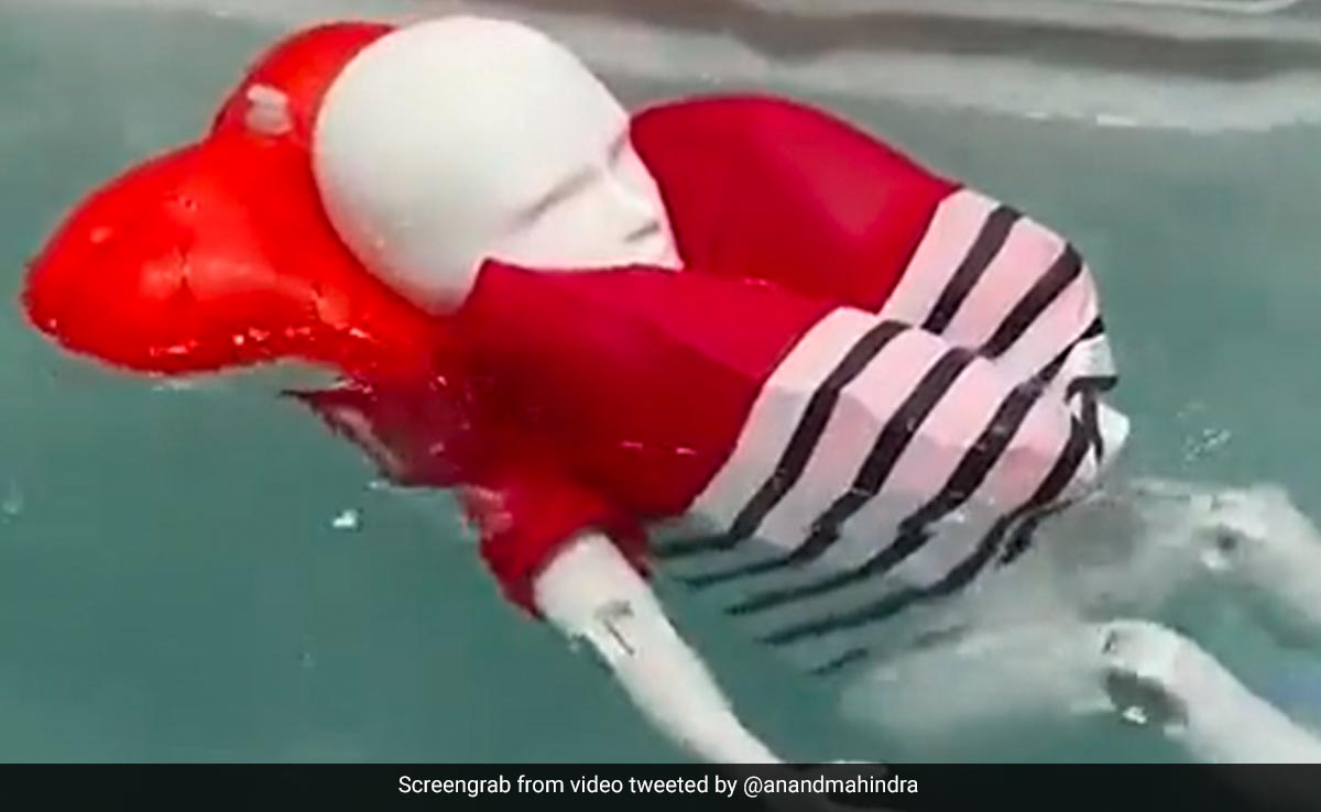 Video: Anand Mahindra Impressed By This Unique Inflatable T-Shirt For Kids