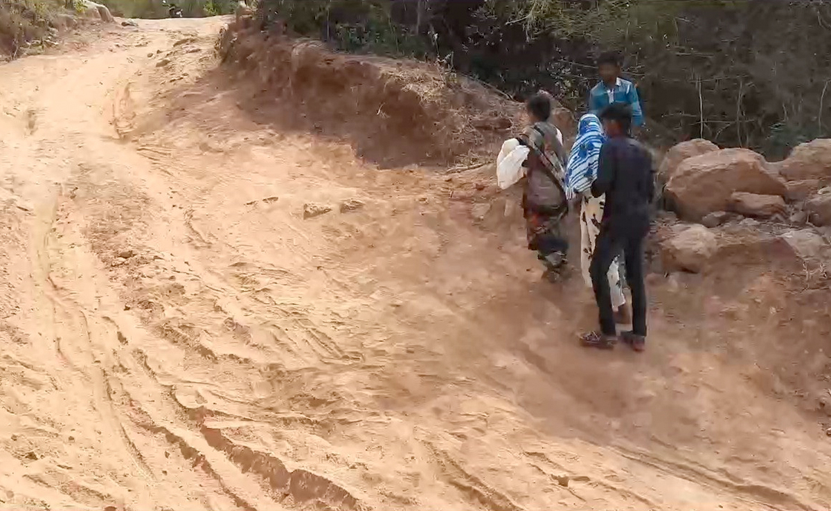 सांप के डसने से डेढ़ साल के बच्ची की मौत, सड़क न होने की वजह से 6 किलोमीटर तक शव को ढोया मां ने