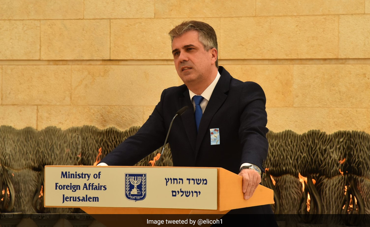 Soon After Delhi Arrival, Israel Minister Says Have To Return. Here's Why