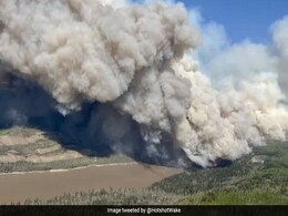 Viral Videos: Thousands Evacuated As "Unprecedented" Wildfires Ravage Canada Viral Videos: Thousands Evacuated As "Unprecedented" Wildfires Ravage Canada