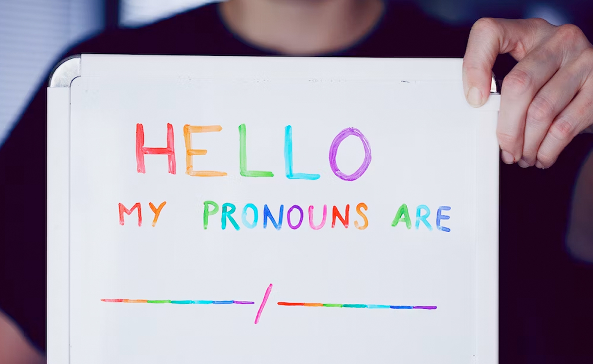 US University Fires 2 Employees For Using Pronouns In Emails: Report