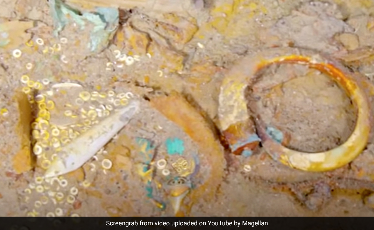 Necklace Made From Megalodon Tooth Found In Titanic Wreckage, AI To Help Find Its Owner