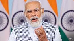 PM Modi Lauds Rise In Tiger Population, Addition Of 57th Reserve