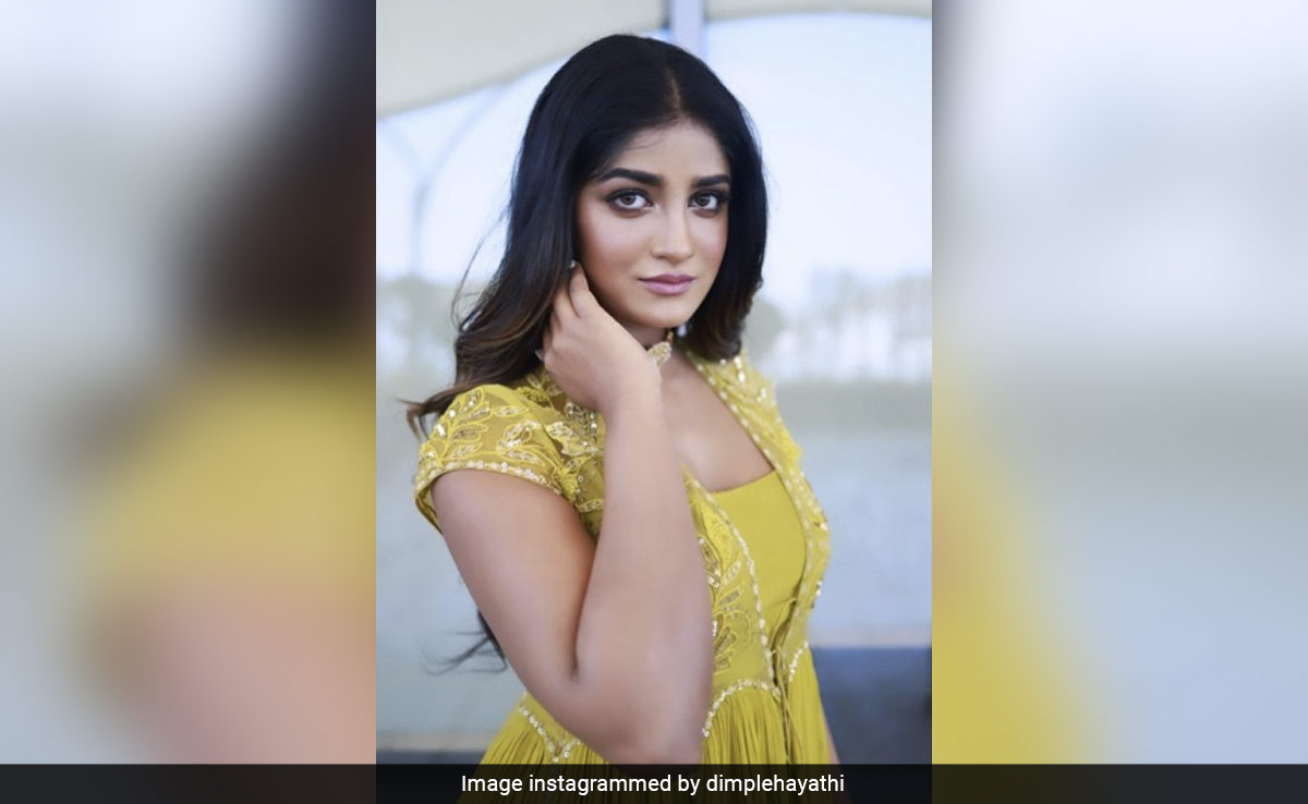 Telugu Actor Dimple Hayathi Charged For Hitting Cop's Car In Hyderabad