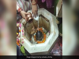 शिवलिंग की पूजा करते समय इन मंत्रों का करें जाप, भोलेनाथ का बना रहेगा साथ शिवलिंग की पूजा करते समय इन मंत्रों का करें जाप, भोलेनाथ का बना रहेगा साथ