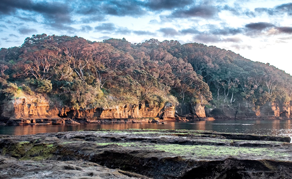 6.2 Magnitude Earthquake Detected Off New Zealand Coast
