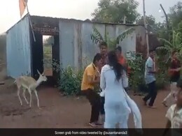 कीर्तन की धुन पर जमकर नाचा हिरण, कृष्ण भक्ति में लीन हिरण का Video शेयर कर IFS ने बताई ये दिलचस्प बात कीर्तन की धुन पर जमकर नाचा हिरण, कृष्ण भक्ति में लीन हिरण का Video शेयर कर IFS ने बताई ये दिलचस्प बात
