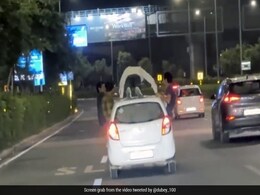 Video: Gurugram Man Seen Doing Push-Ups On Top Of Moving Car, Police File Case Video: Gurugram Man Seen Doing Push-Ups On Top Of Moving Car, Police File Case