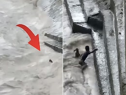 इंसानियत आज भी जिंदा है, उफनती नदी में डूब रहे बछड़े को बचाने के लिए शख्स ने लगा दी जान की बाजी इंसानियत आज भी जिंदा है, उफनती नदी में डूब रहे बछड़े को बचाने के लिए शख्स ने लगा दी जान की बाजी