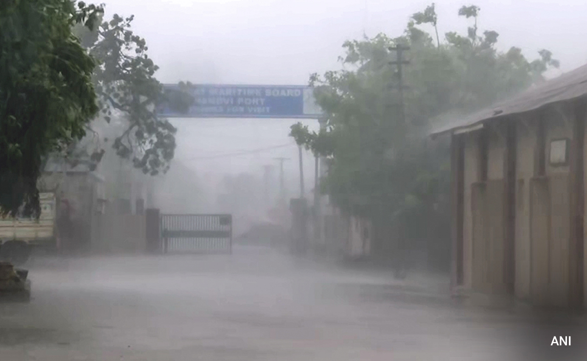 Ex Madhya Pradesh Minister's Son, 19, Rescued After SUV Washed Away