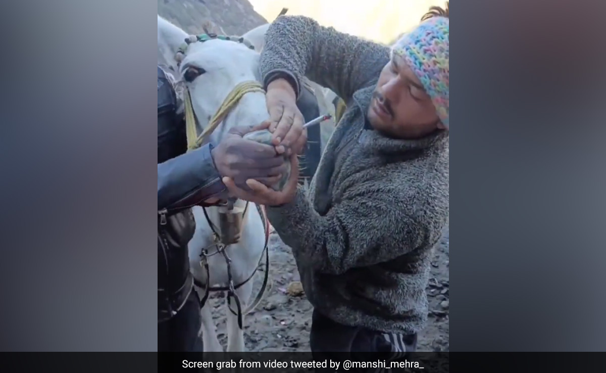 Uttarakhand Police Arrest Man Who Forced Horse To Smoke On Kedarnath Trek