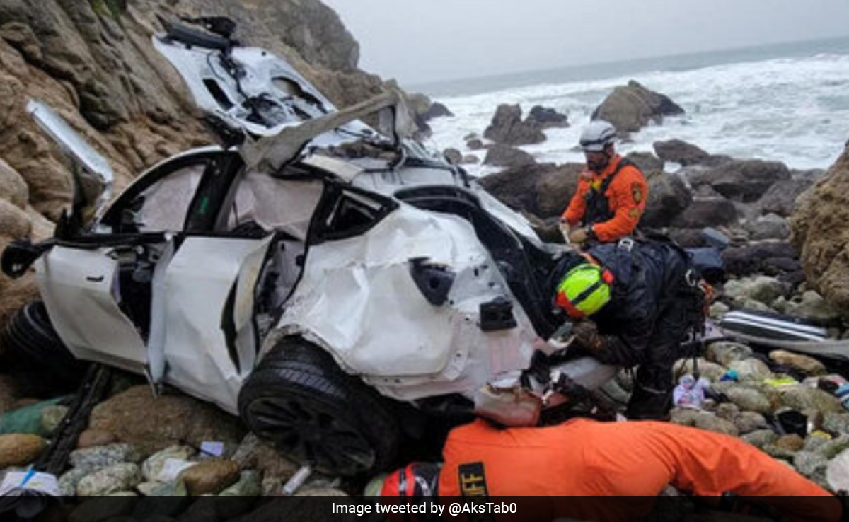 Indian-Origin Man Who Drove Family Off Cliff In US Had Psychotic Breakdown: Doctor