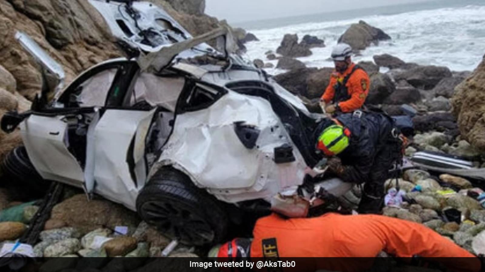 US Court Relief For Indian-Origin Doctor Who Drove Family In Tesla Off Cliff
