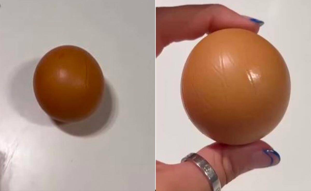Watch: Woman Finds Perfectly Round Egg In Her Groceries, Internet Can't Believe It
