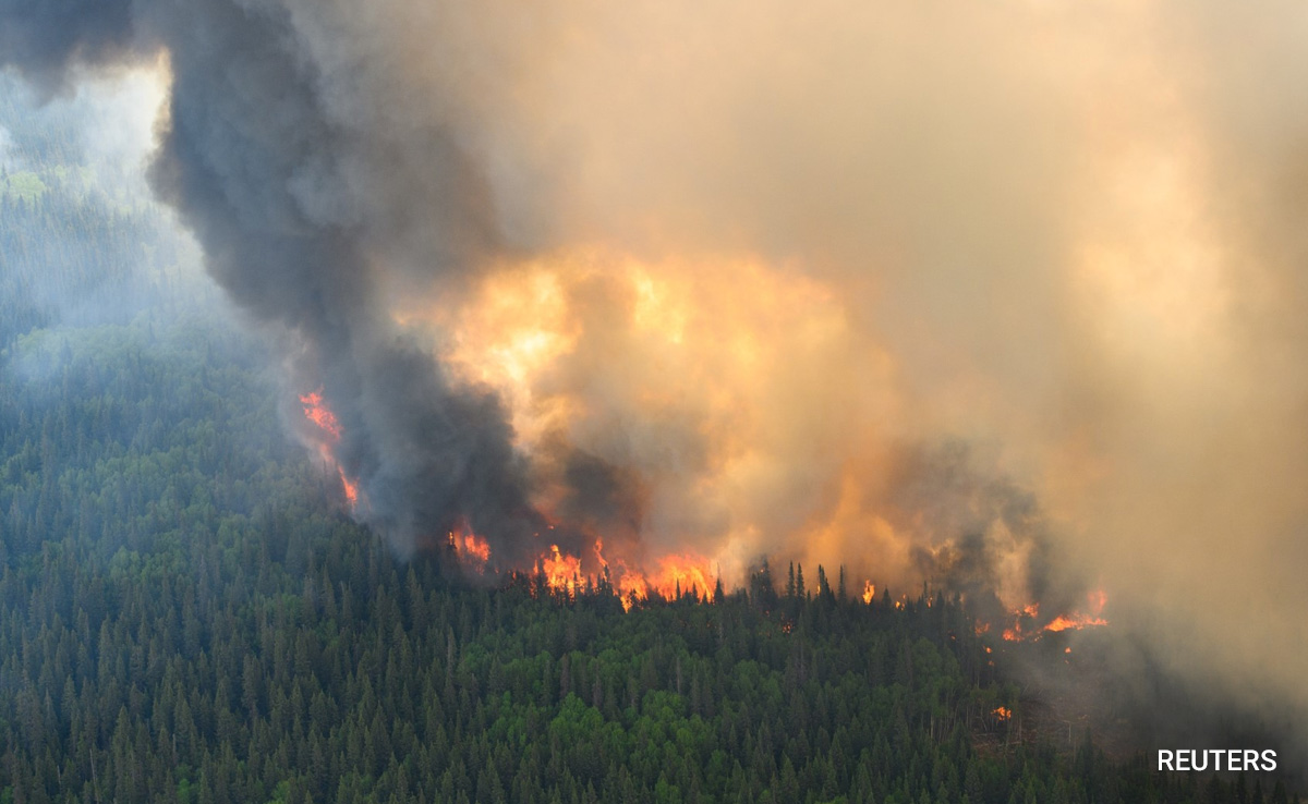 Canada Wildfires Cause Thick Smoke, Calls To Asthma Non-Profit Double