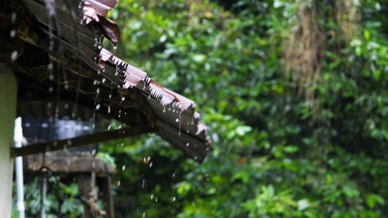 Kerala Welcomes Monsoon As Mumbai Eagerly Awaits Showers, Tweets Say It All