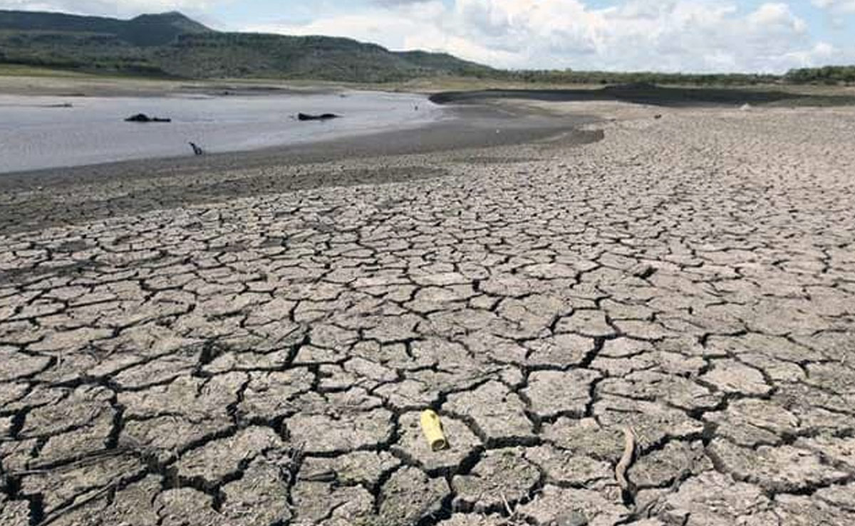El Nino Arrives, Raises Fear Of Extreme Temperature