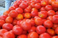 क्यों महंगे हो रहे हैं टमाटर? 100 रुपये के पार पहुंचे दाम क्यों महंगे हो रहे हैं टमाटर? 100 रुपये के पार पहुंचे दाम