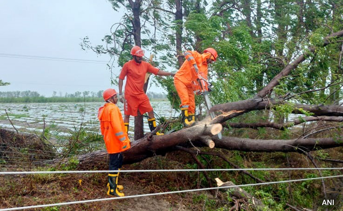After Cyclone Biparjoy, Gujarat Now Faces Several Immediate Challenges