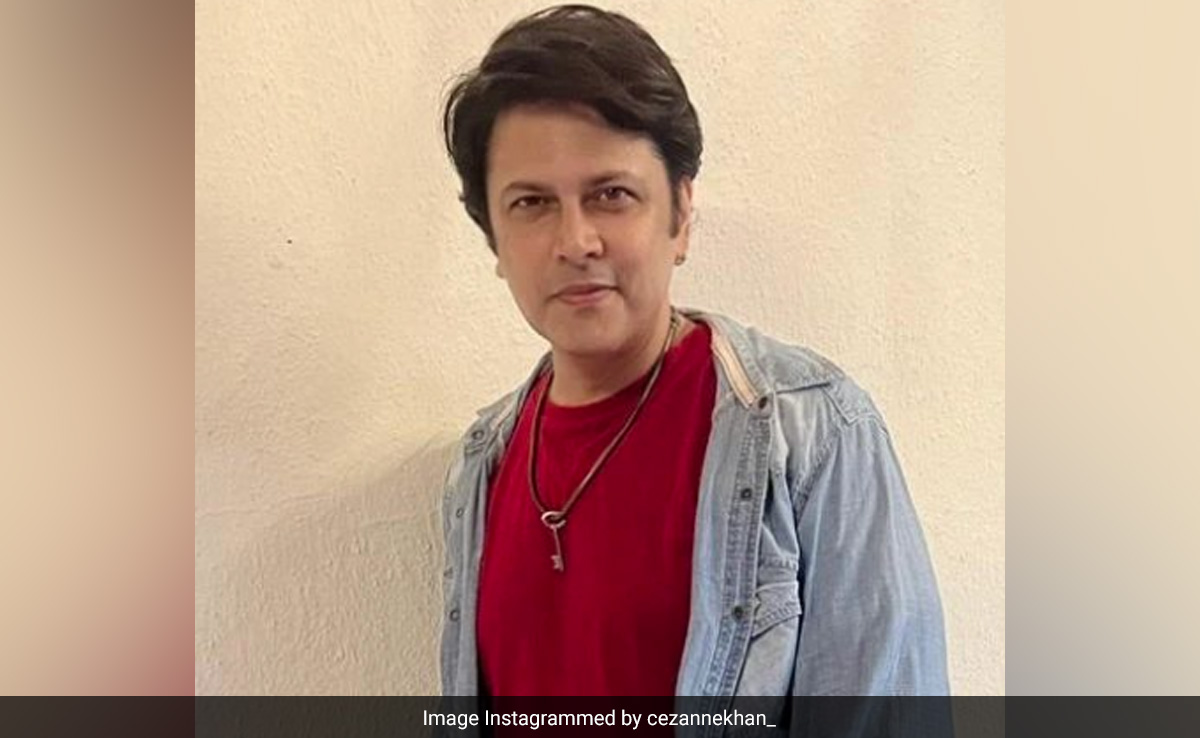 Cezanne Khan's Alleged Wife Aisha Pirani Accuses Him Of Domestic Violence: "Sent Me Dirty Voice Notes, Tortured Me"