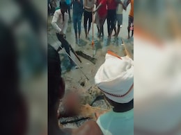 On Camera, Crocodile That Killed Bihar Teen, Beaten To Death With Sticks On Camera, Crocodile That Killed Bihar Teen, Beaten To Death With Sticks