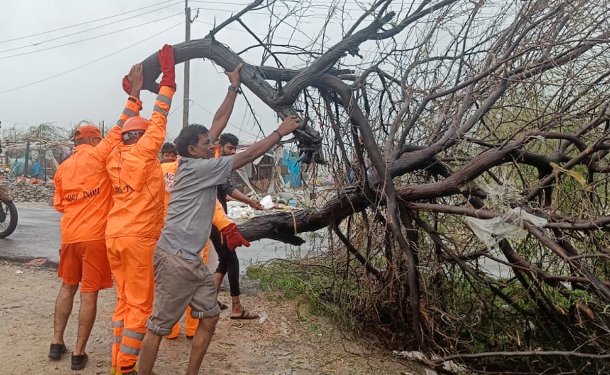 In Pics: Cyclone Biparjoy Damages Houses, Electric Poles As It Causes Destruction In Gujarat