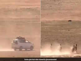 ''Disgusting'': Video Of Tourists Chasing Tibetan Wild Asses In Ladakh Angers Internet ''Disgusting'': Video Of Tourists Chasing Tibetan Wild Asses In Ladakh Angers Internet