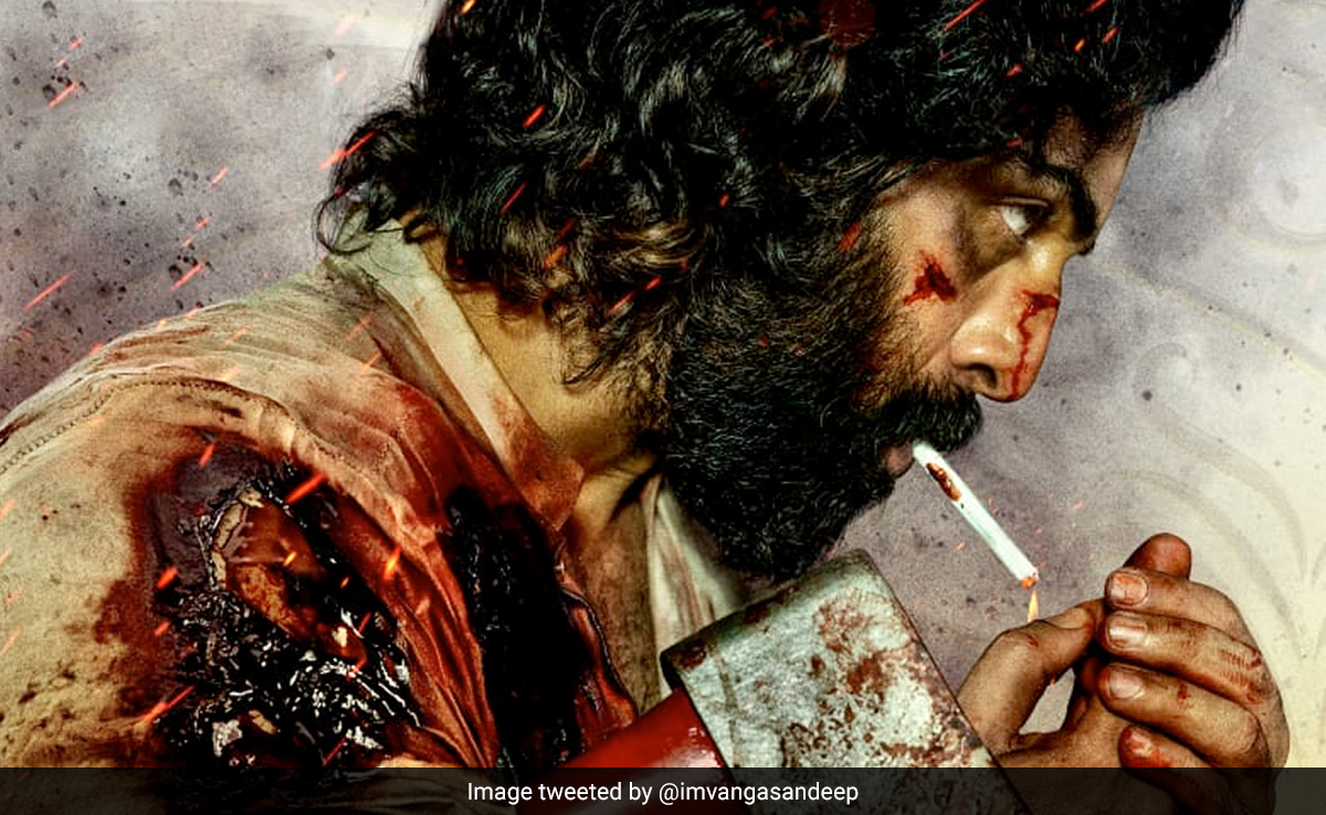 रणबीर कपूर की 'एनिमल' बनने जा रही है 300 करोड़ की फिल्म, साउथ के इन दो स्टेट्स में बिके करोड़ों के राइट्स